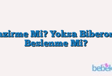 Emzirme Mi? Yoksa Biberonla Beslenme Mi?