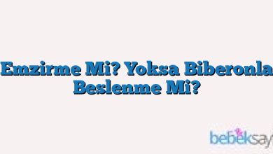 Emzirme Mi? Yoksa Biberonla Beslenme Mi?