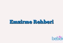 Emzirme Rehberi