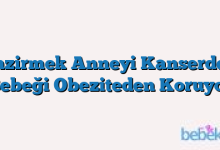 Emzirmek Anneyi Kanserden, Bebeği Obeziteden Koruyor