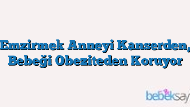 Emzirmek Anneyi Kanserden, Bebeği Obeziteden Koruyor