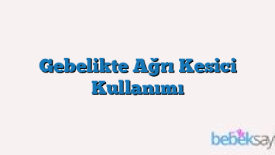 Gebelikte Ağrı Kesici Kullanımı