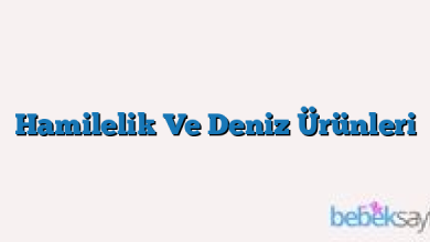 Hamilelik Ve Deniz Ürünleri