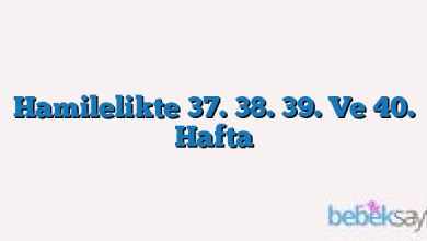 Hamilelikte 37. 38. 39. Ve 40. Hafta