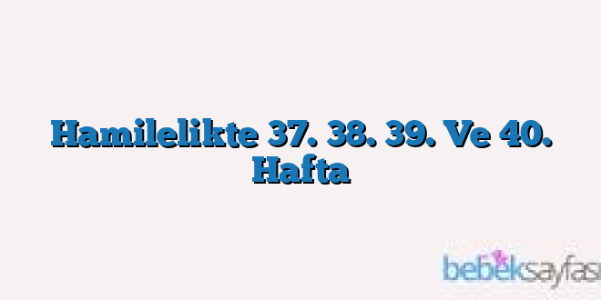 Hamilelikte 37. 38. 39. Ve 40. Hafta
