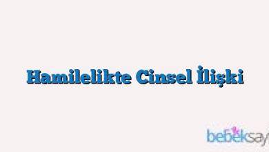 Hamilelikte Cinsel İlişki