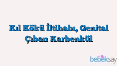 Kıl Kökü İltihabı, Genital Çıban Karbenkül