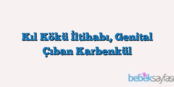 Kıl Kökü İltihabı, Genital Çıban Karbenkül