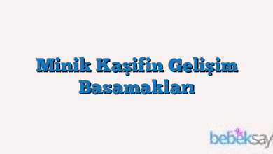 Minik Kaşifin Gelişim Basamakları