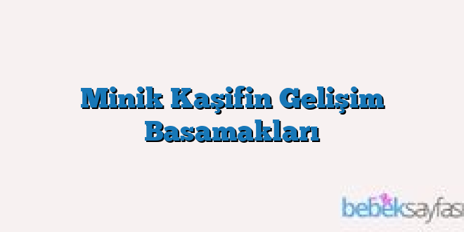 Minik Kaşifin Gelişim Basamakları
