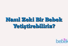 Nasıl Zeki Bir Bebek Yetiştirebiliriz?