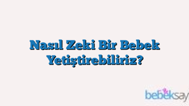 Nasıl Zeki Bir Bebek Yetiştirebiliriz?