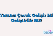 Yaratıcı Çocuk Gelişir Mi Geliştirilir Mi?