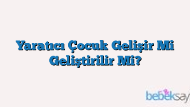 Yaratıcı Çocuk Gelişir Mi Geliştirilir Mi?