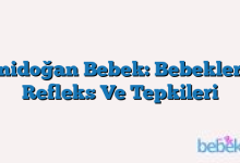 Yenidoğan Bebek: Bebeklerde Refleks Ve Tepkileri
