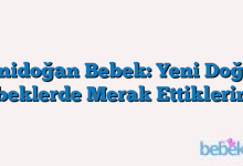 Yenidoğan Bebek: Yeni Doğan Bebeklerde Merak Ettikleriniz!