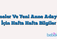 Anneler Ve Yeni Anne Adayları İçin Hafta Hafta Bilgiler