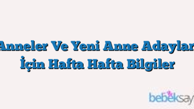 Anneler Ve Yeni Anne Adayları İçin Hafta Hafta Bilgiler