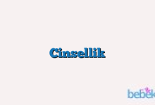 Cinsellik