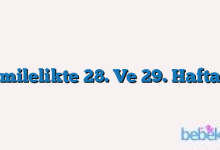 Hamilelikte 28. Ve 29. Haftalar