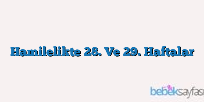 Hamilelikte 28. Ve 29. Haftalar