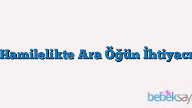 Hamilelikte Ara Öğün İhtiyacı