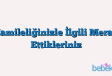 Hamileliğinizle İlgili Merak Ettikleriniz