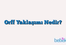 Orff Yaklaşımı Nedir?