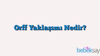 Orff Yaklaşımı Nedir?